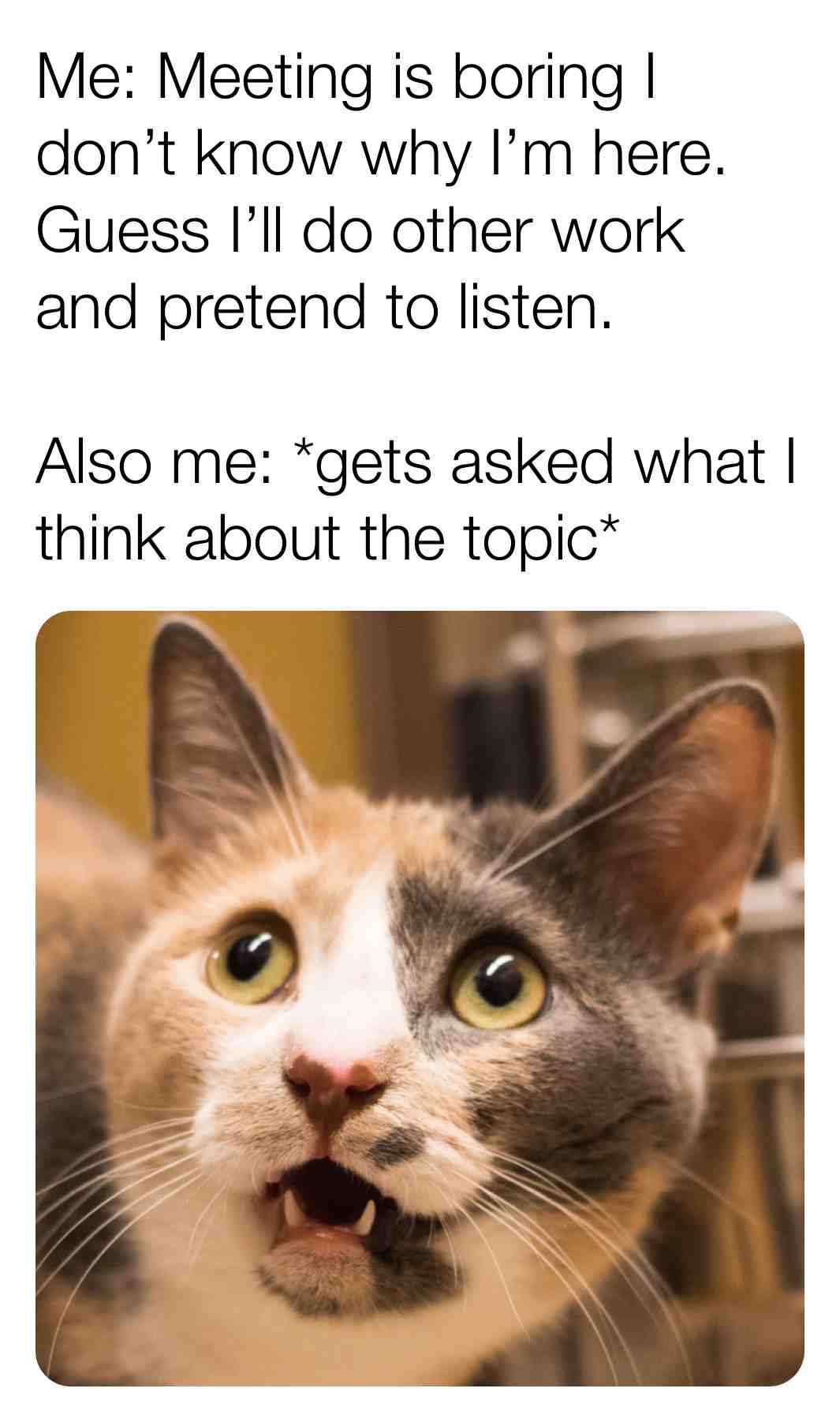 meetings are hard.