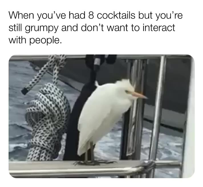 every single party.