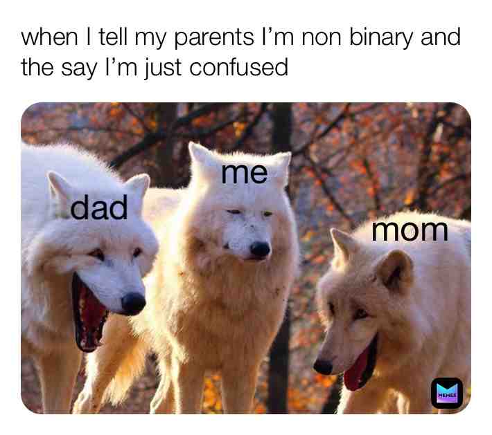  #Nonbinary #pride #funny