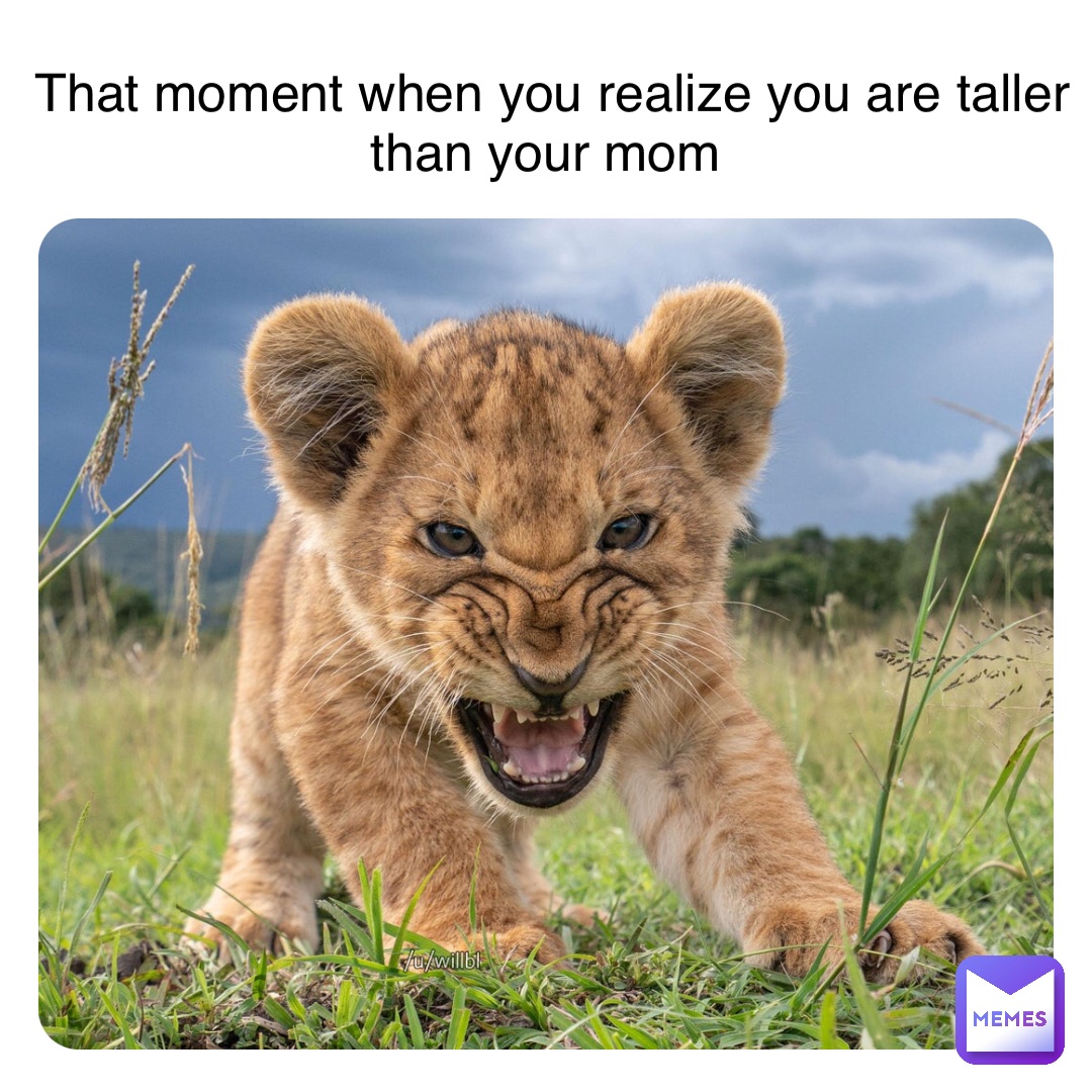 Meme by wakonda_for_ever_