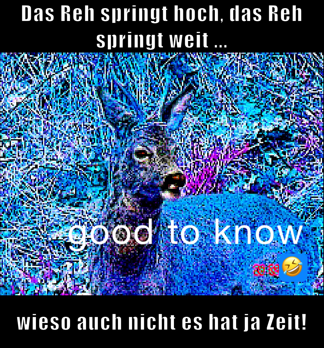 Das Reh springt hoch, das Reh springt weit ... wieso auch nicht es hat ja Zeit!