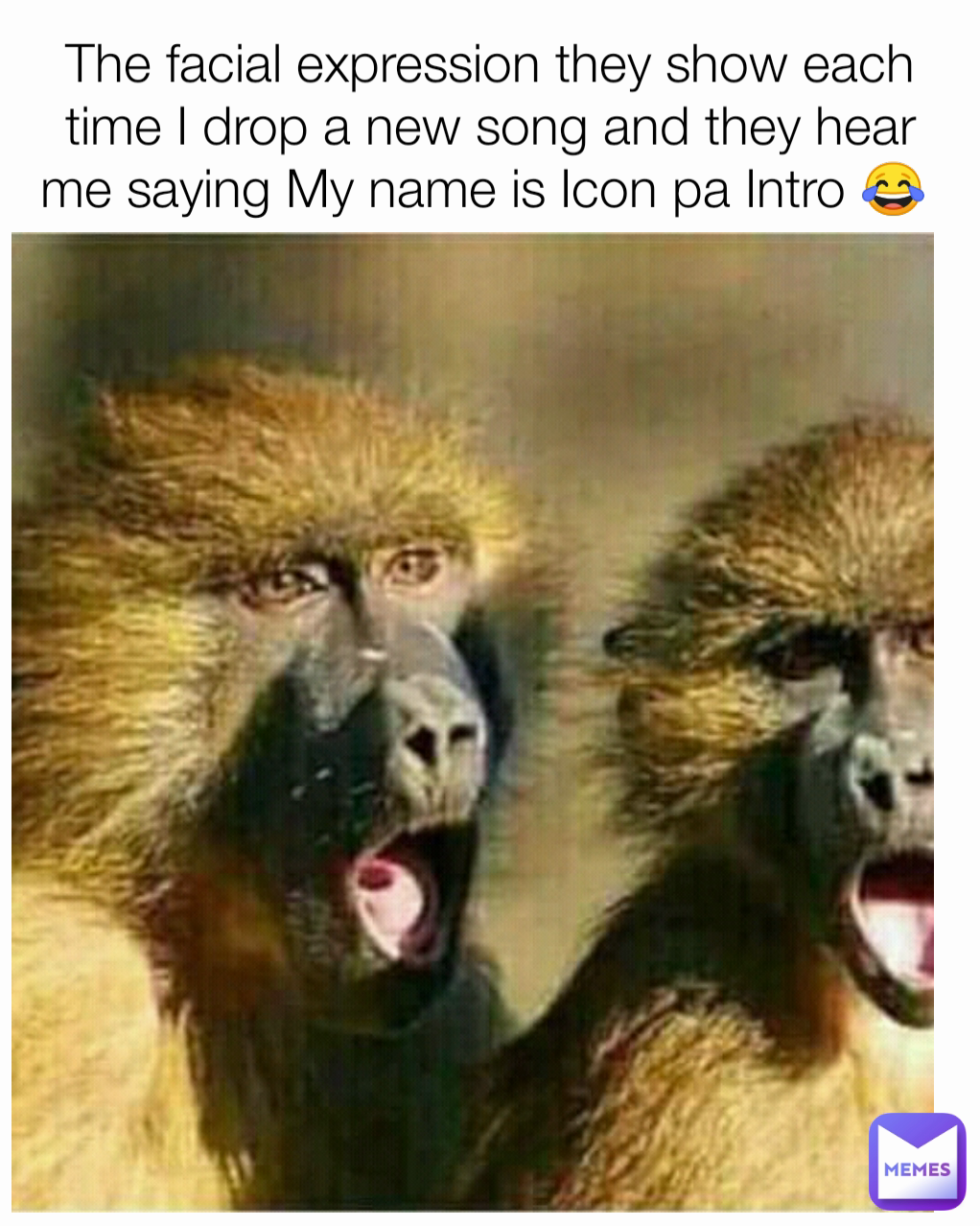 The facial expression they show each time I drop a new song and they hear me saying My name is Icon pa Intro 😂 