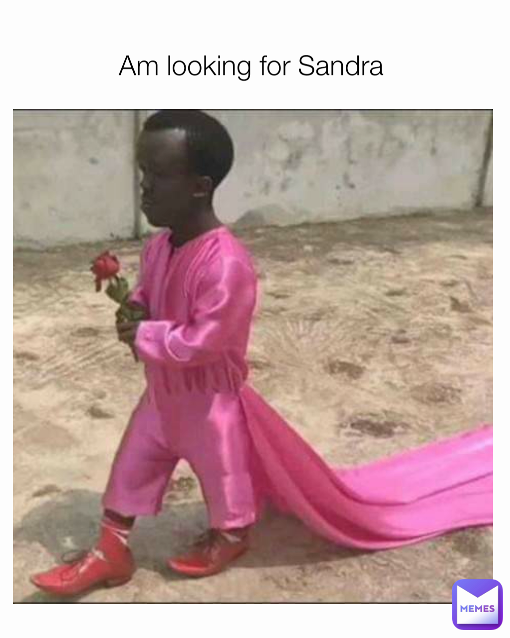 Am looking for Sandra 