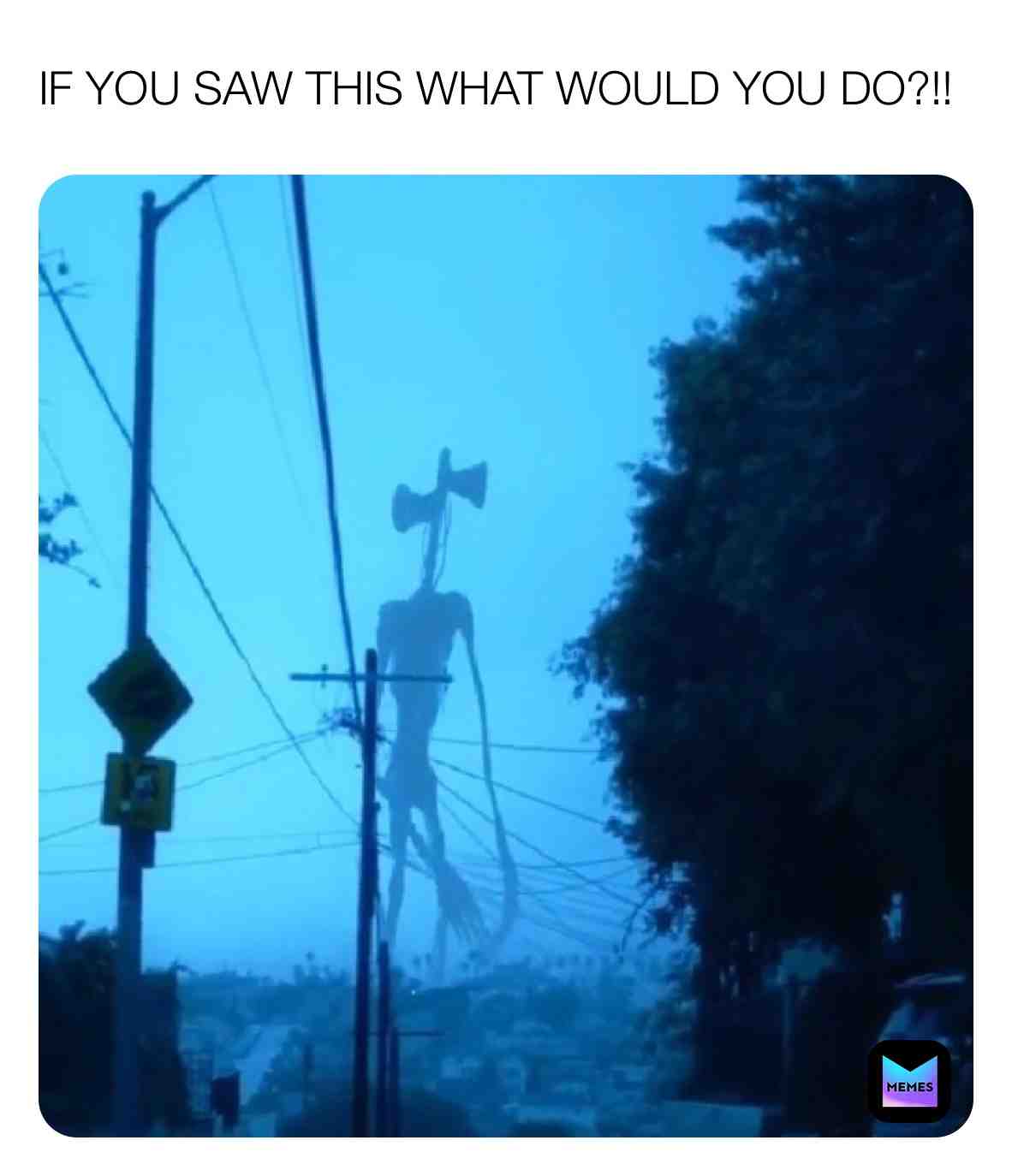 ​Whatwouldyou