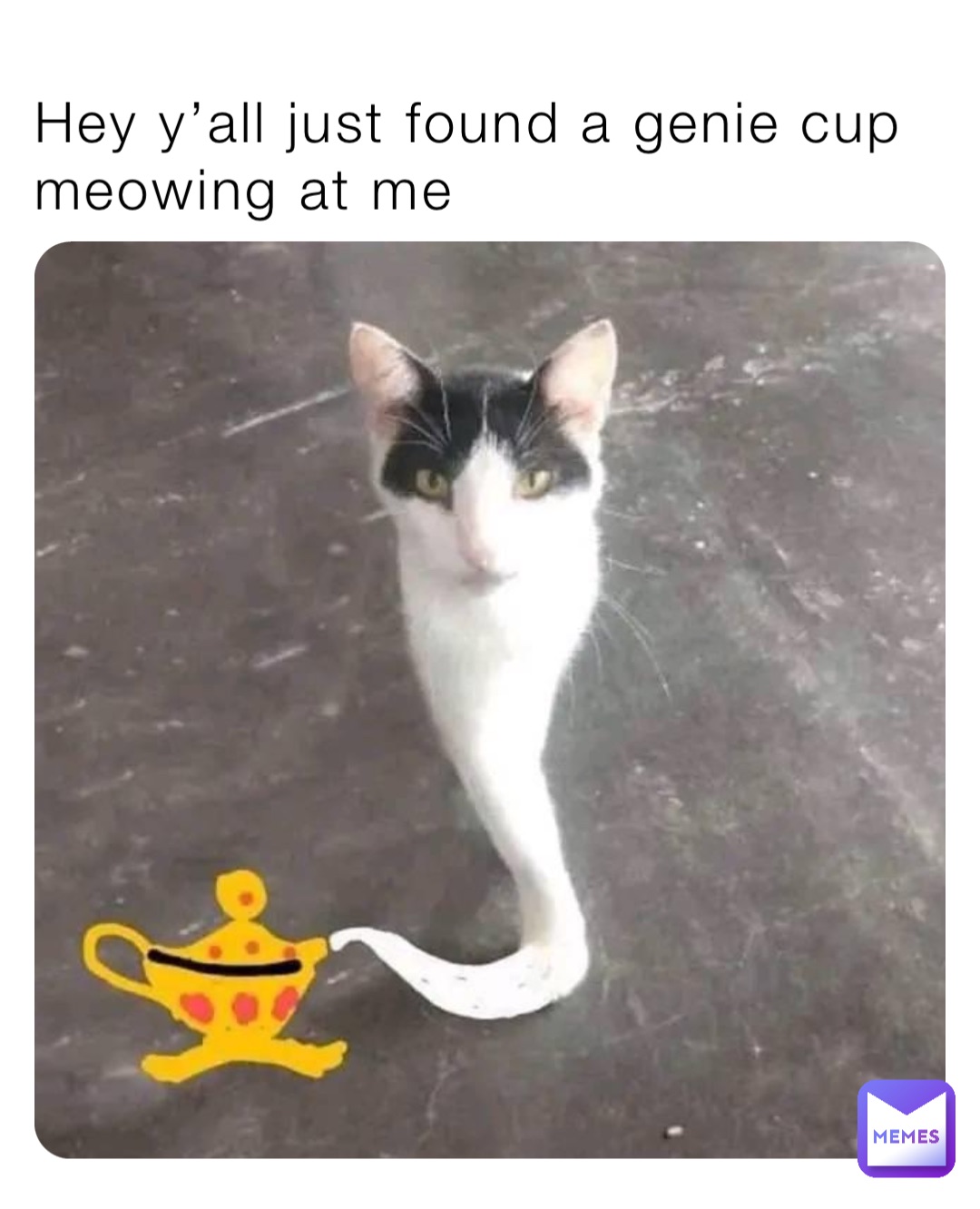 Hey y’all just found a genie cup meowing at me