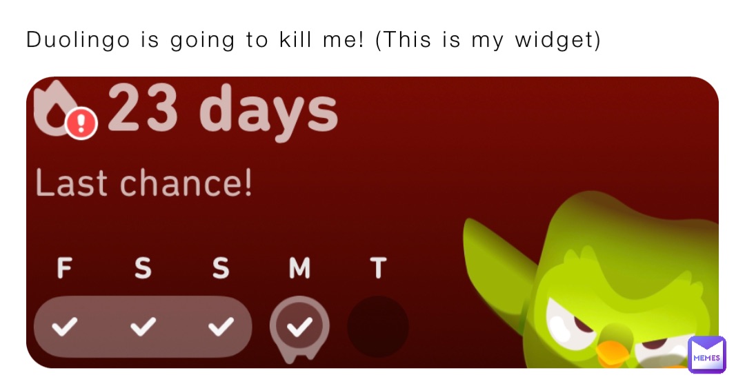 Duolingo is going to kill me! (This is my widget)