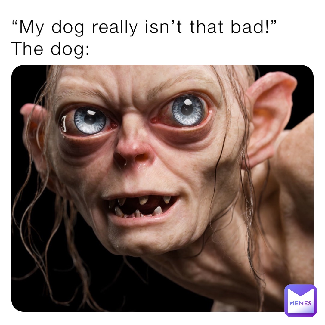 “My dog really isn’t that bad!”
The dog: