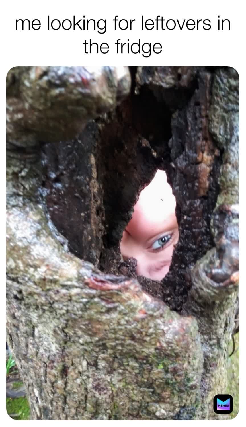 Meme by stargazer_hj