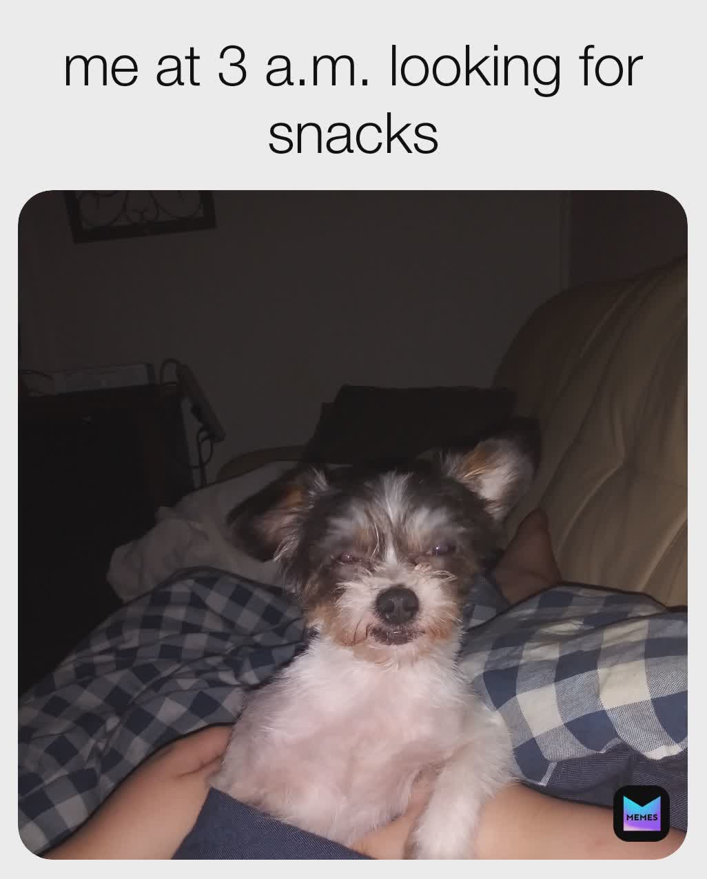 Meme by stargazer_hj