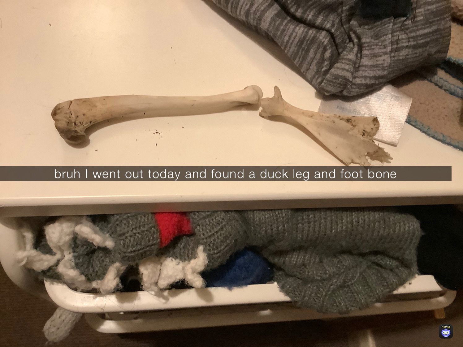 bruh I went out today and found a duck leg and foot bone