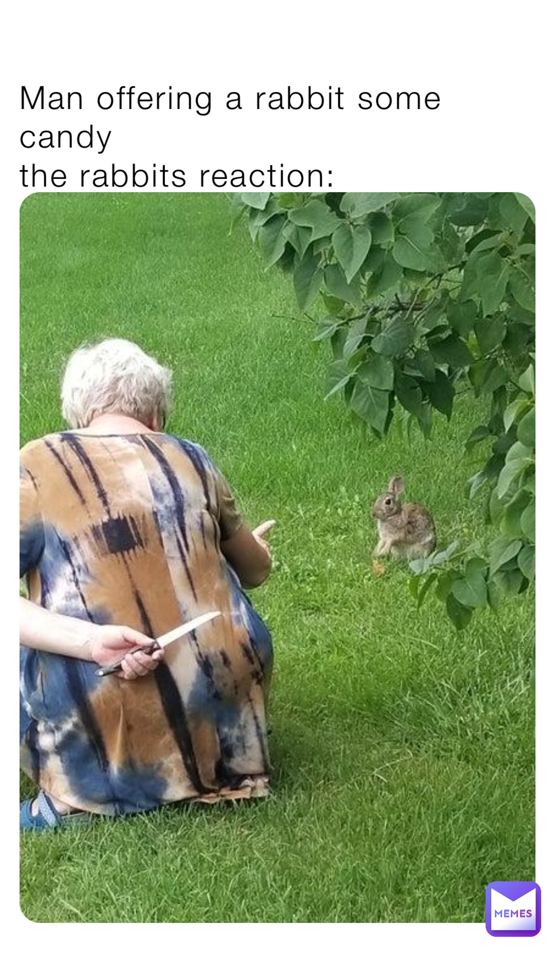 Man offering a rabbit some candy
the rabbits reaction: