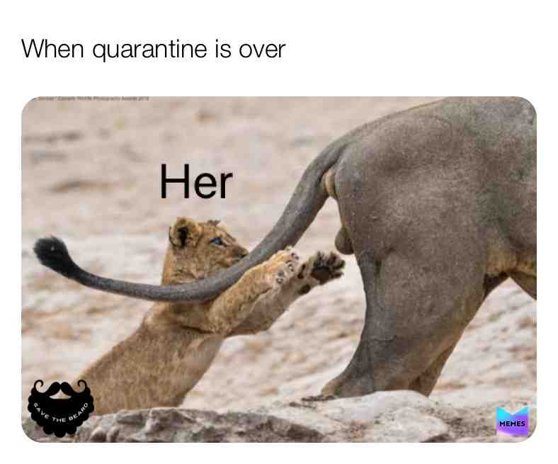 After quarantine be like 🤣 #qaurintine #funny #covid19 #bored #savethebeard