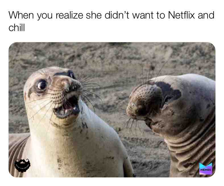 “Netflix and Chill” #memesdaily #funnymemes #netflixandchill # #animalmemes #memesdaily #funny #savethebeard