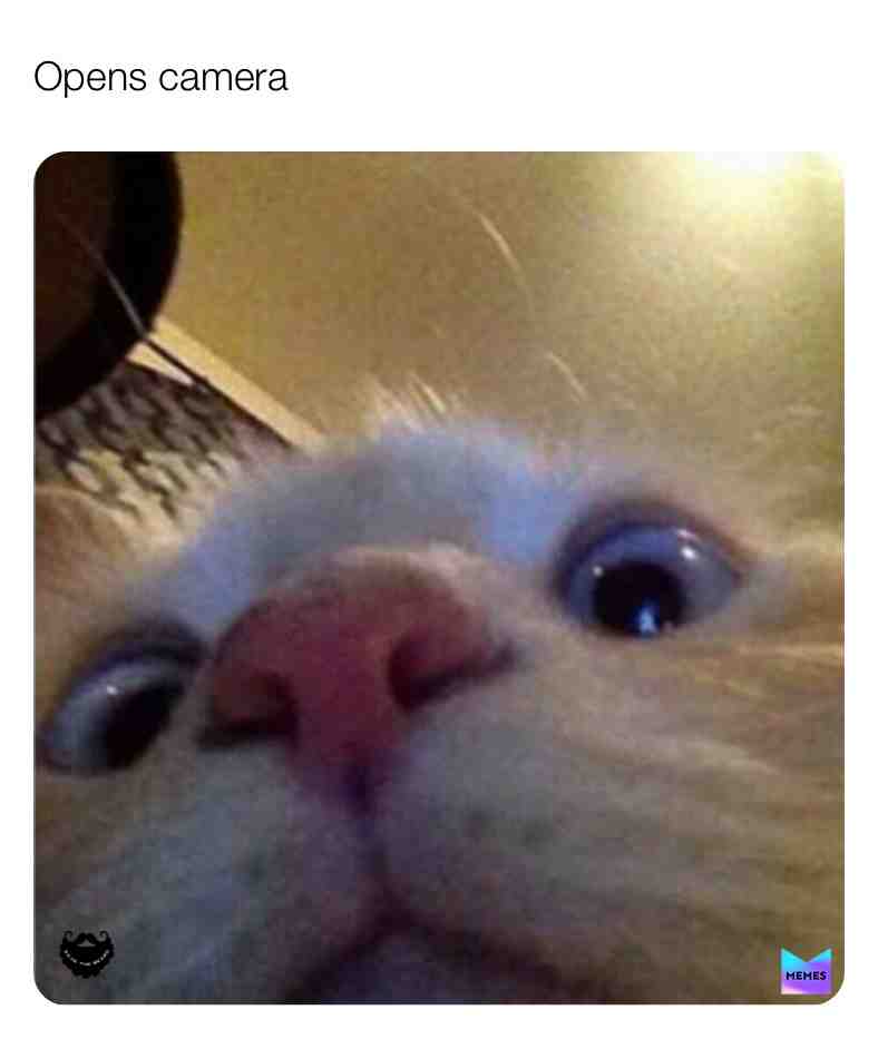#memesdaily #funnymemes #animalmemes #memesquad #savethebeard