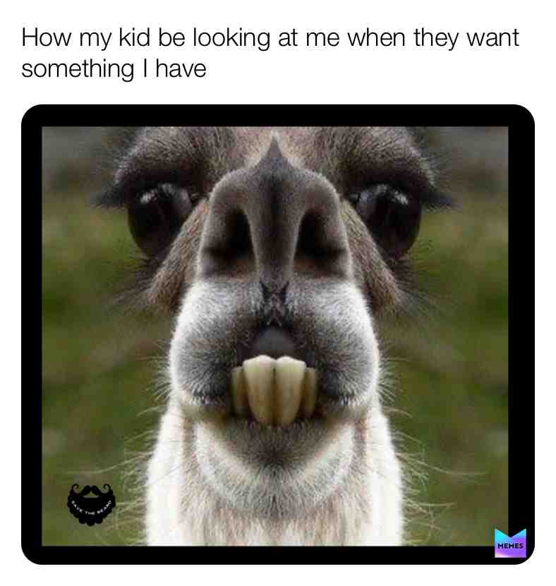 #animalmemes #funnymemes #memesquad #lama #parentingmeme #parenting #savethebeard