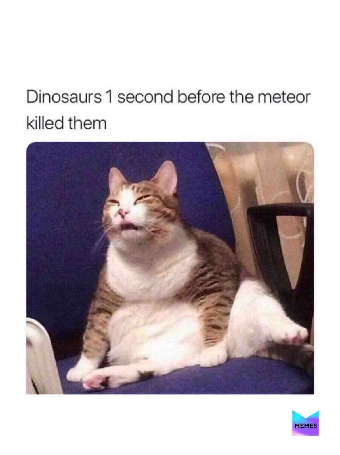 #meme