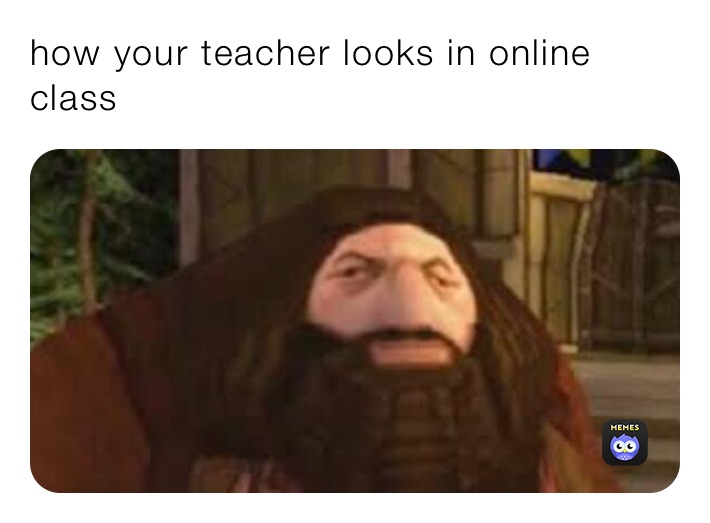 how your teacher looks in online class