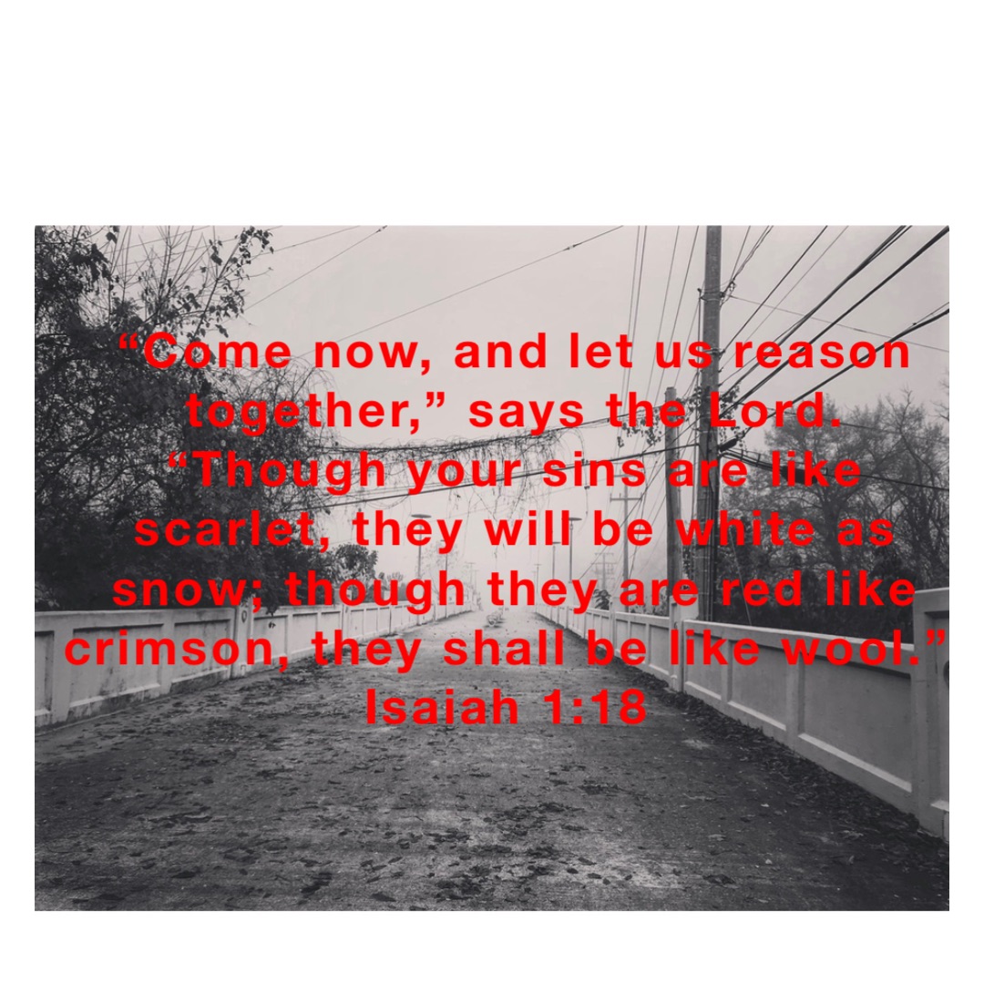 “Come now, and let us reason together,” says the Lord. “Though your sins are like scarlet, they will be white as snow; though they are red like crimson, they shall be like wool.”
Isaiah 1:18