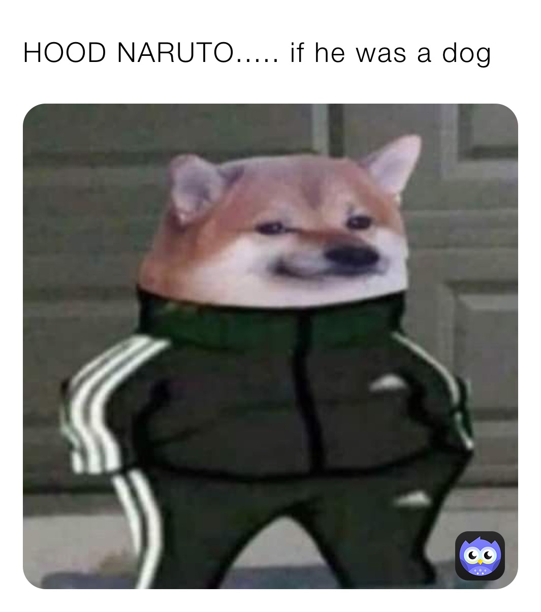 HOOD NARUTO..... if he was a dog
