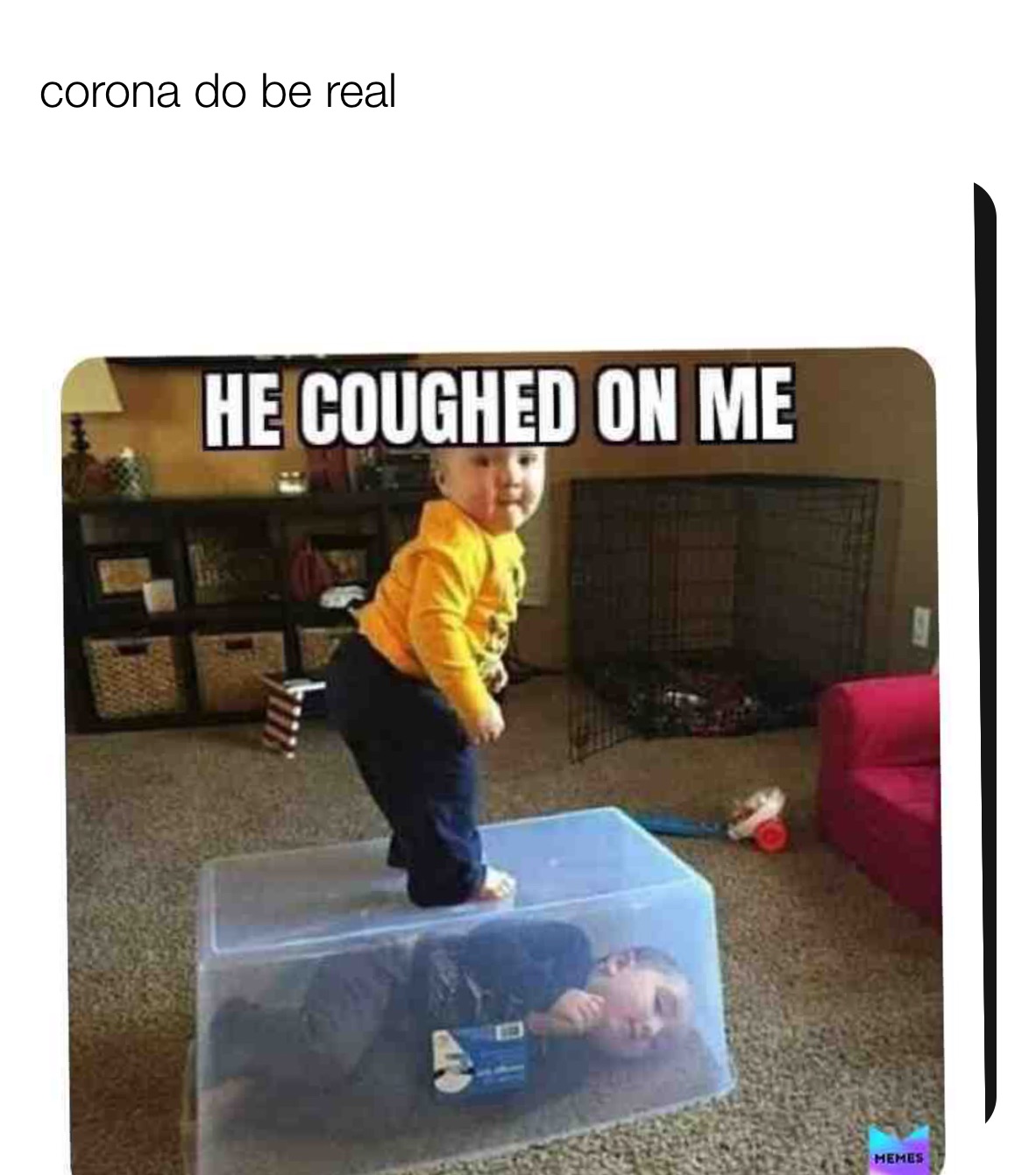 Meme by lil_nestor_is_lit