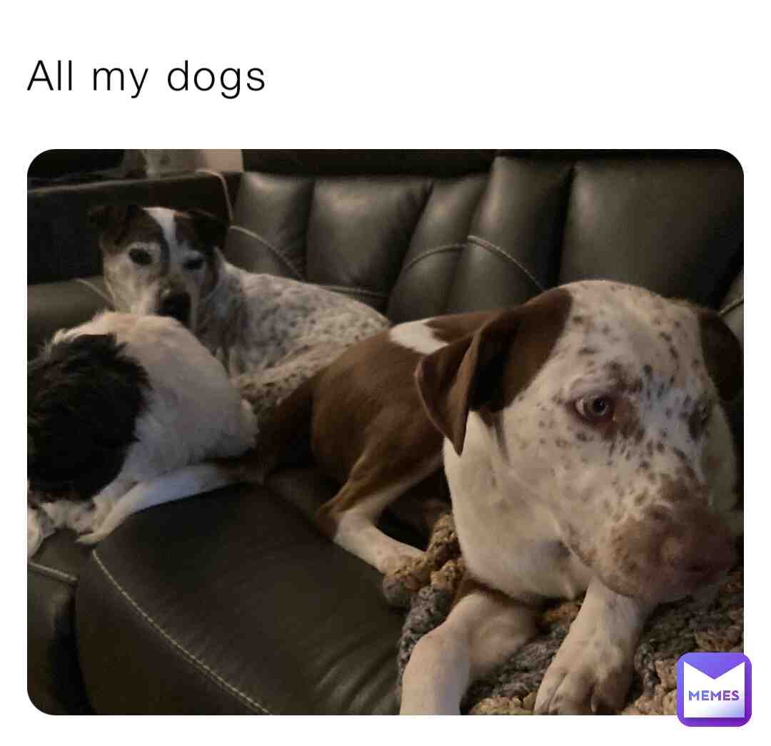 My dogos