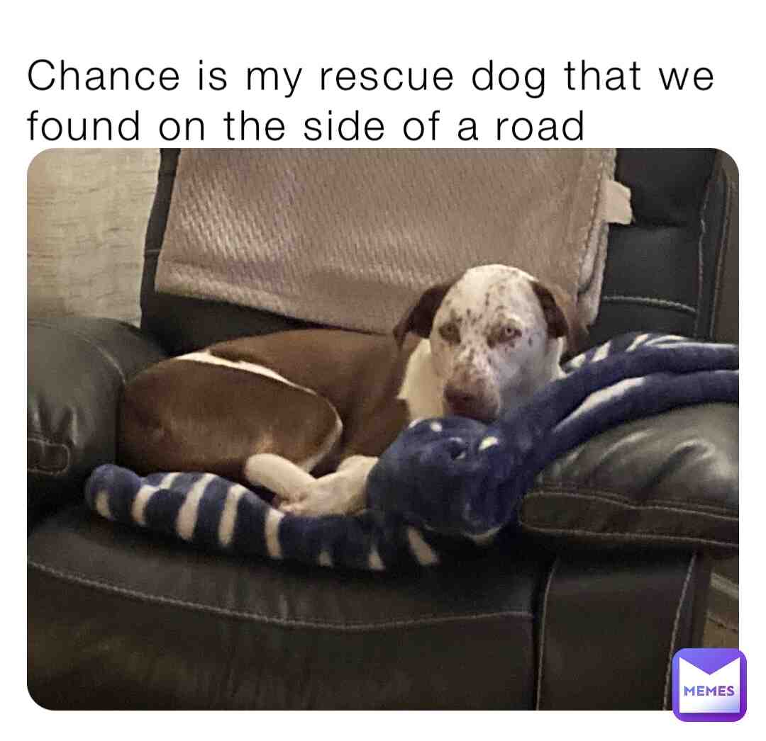 Chance