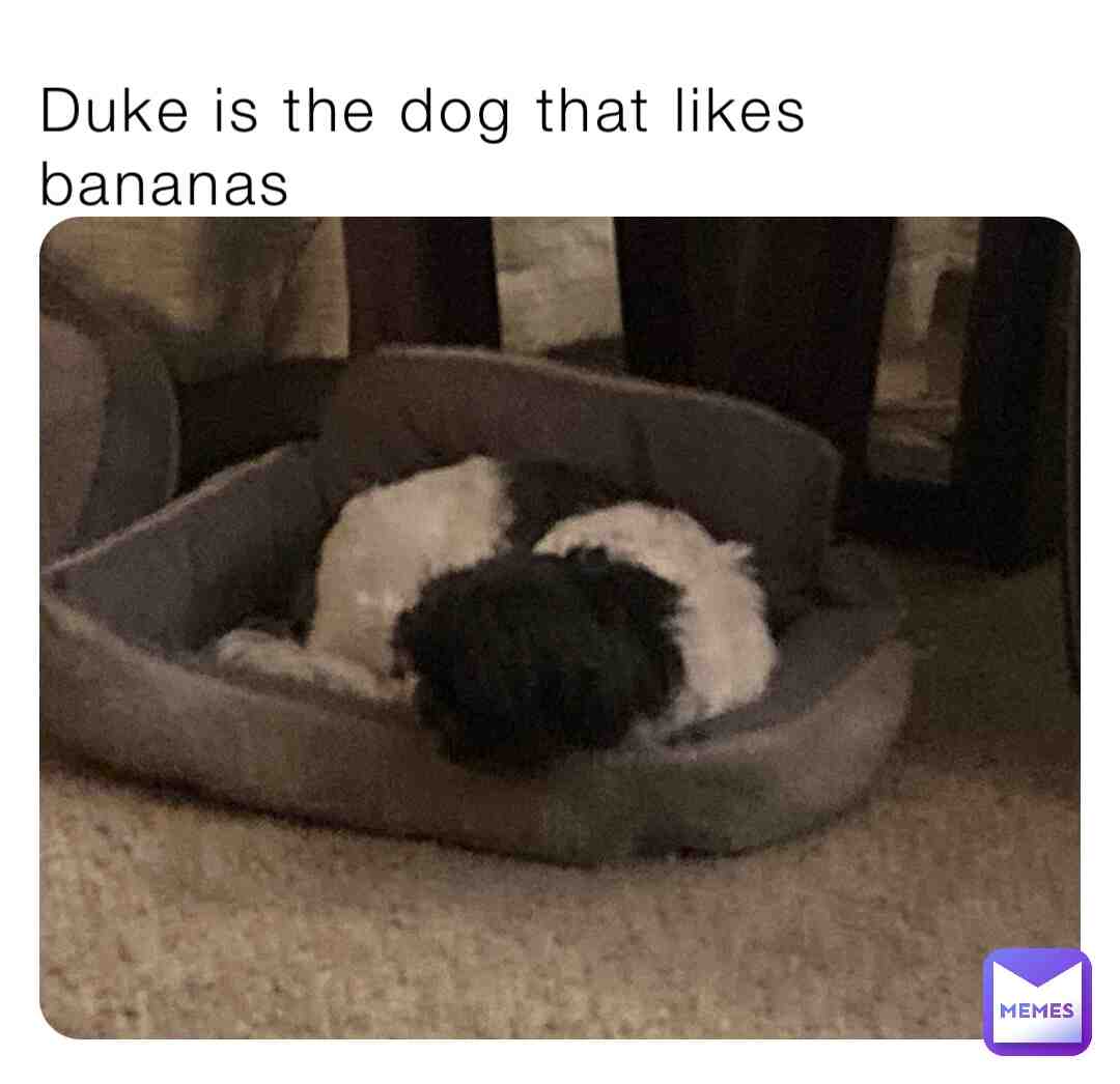 Duke