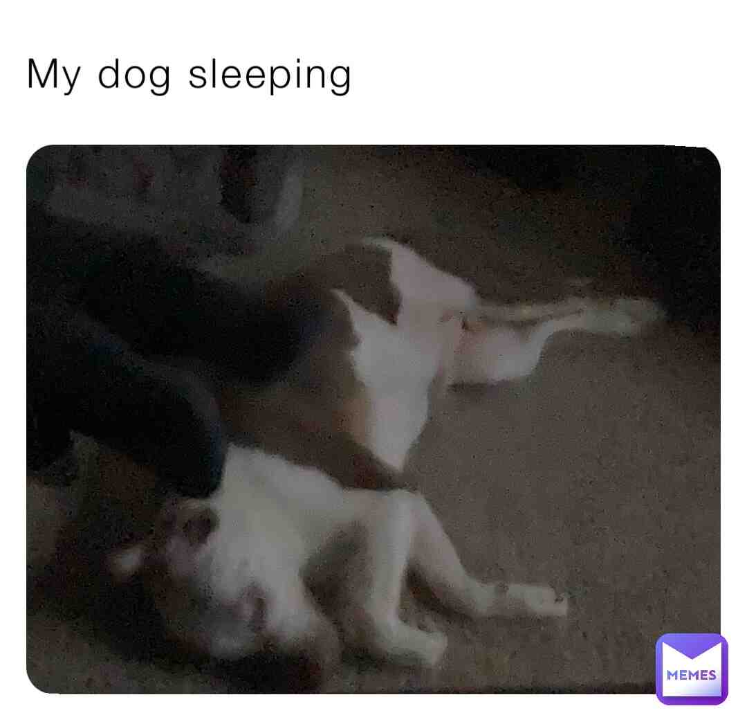 My dog chance sleeping