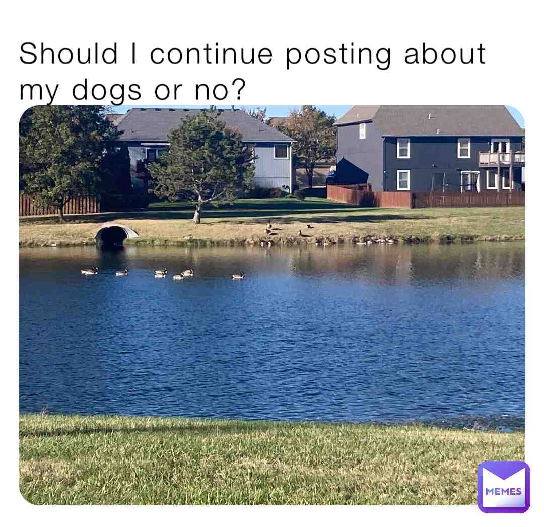 Should I