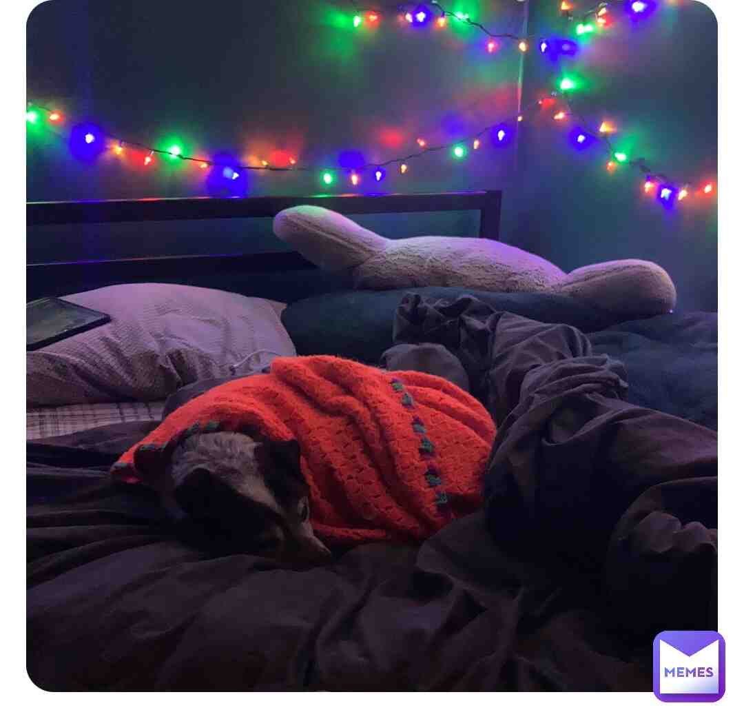 My dog Cosmo sleeping with his childhood blanket.