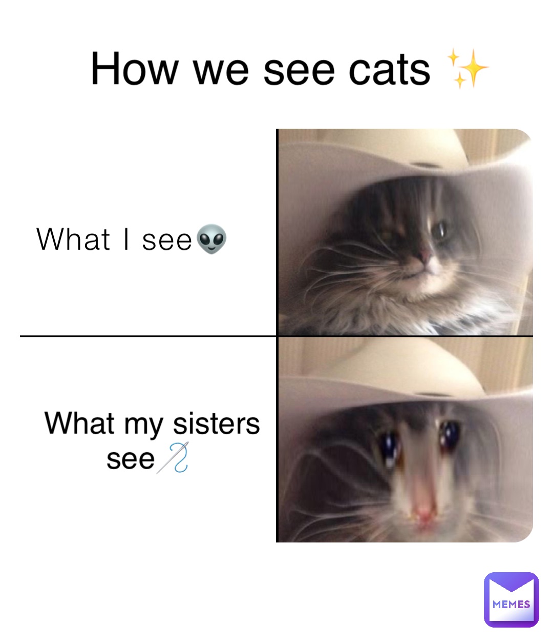 Meme by ugottamemebro