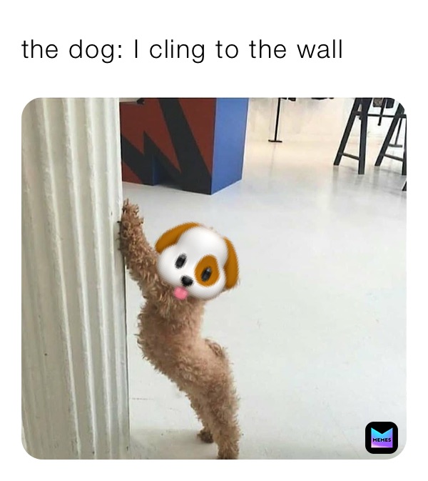 the dog: I cling to the wall