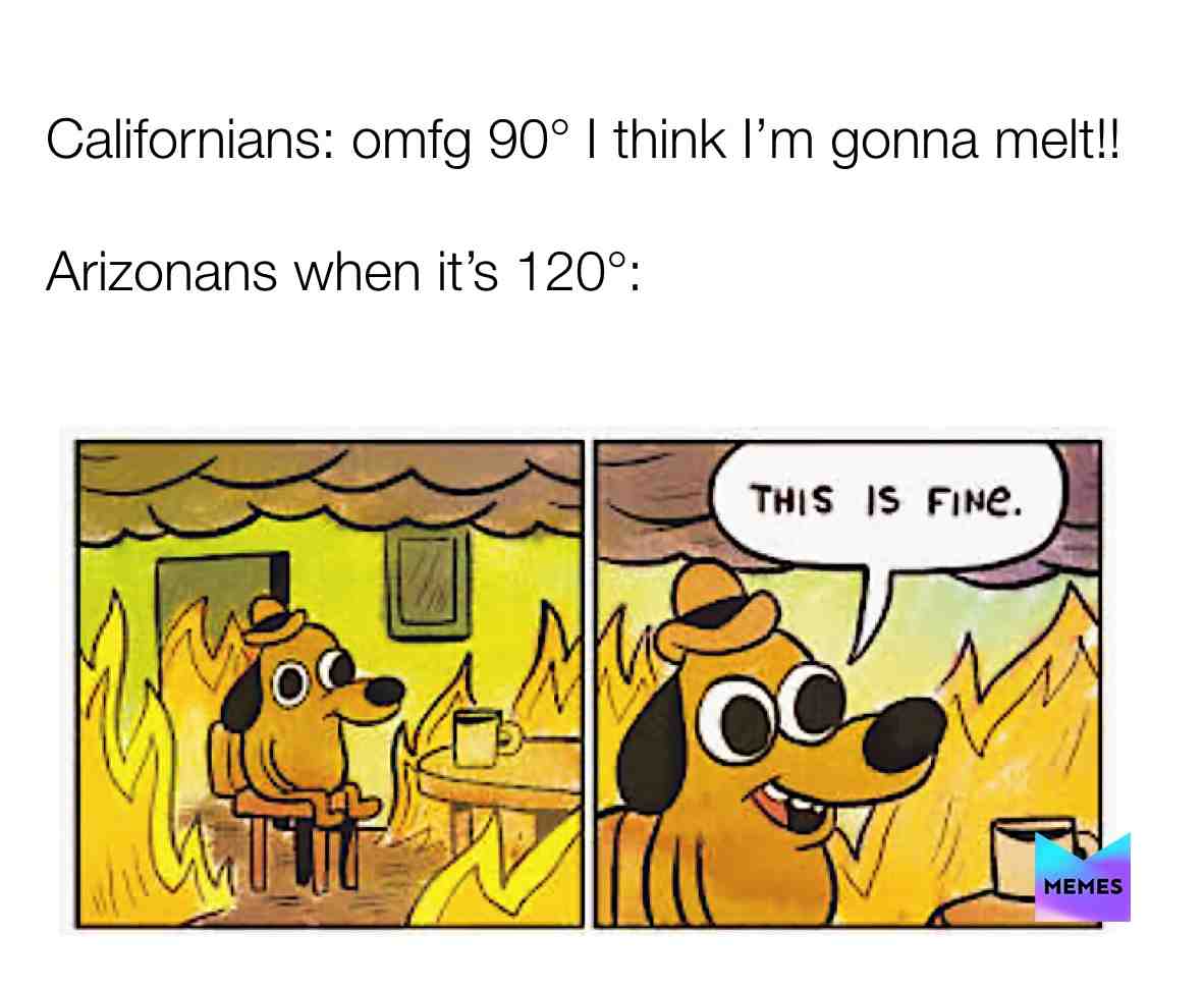 And they think California is hot...🙄 #funny #comedy #arizona #california #hot