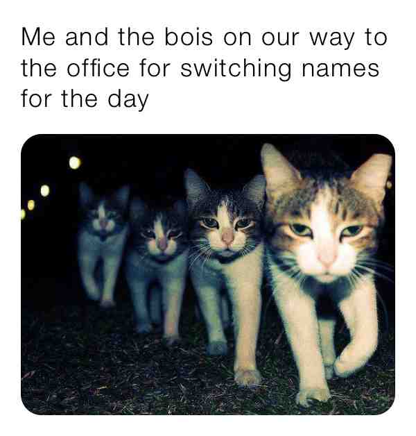 Meme shared by @meowmanthinks2020sucks
