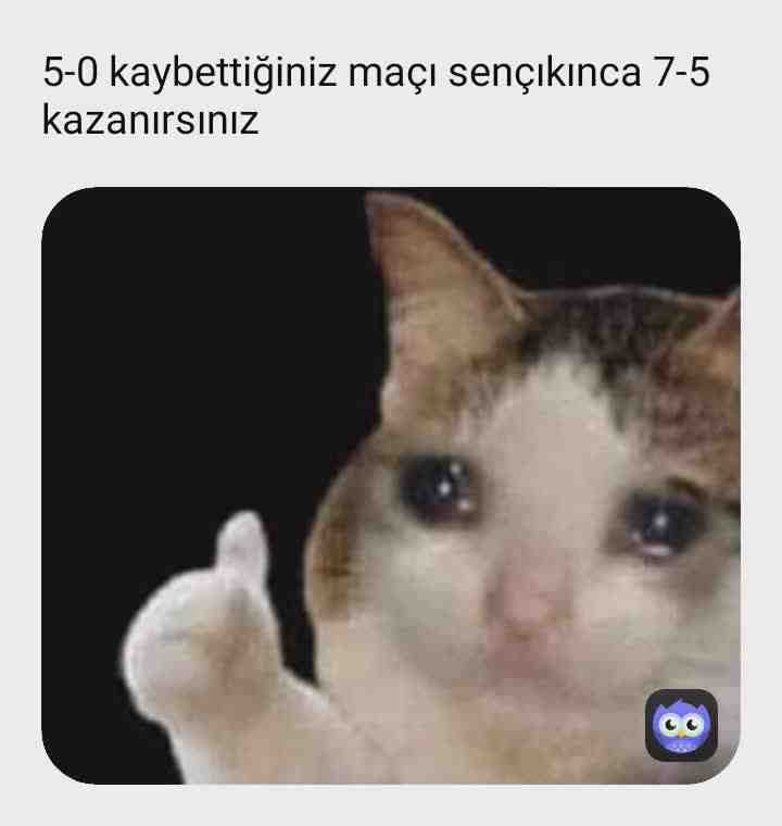 Meme preview