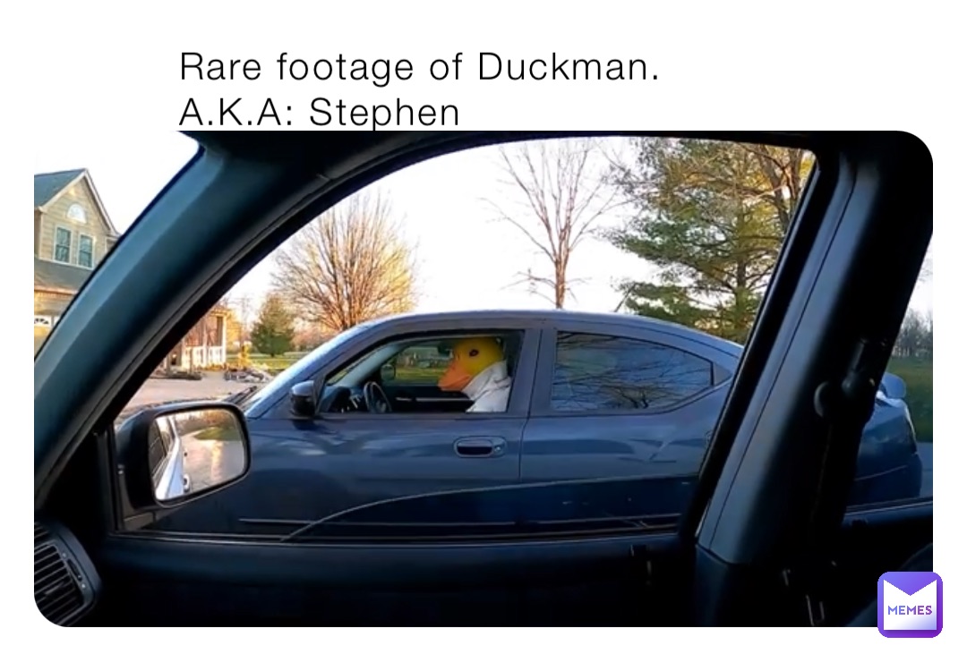 Rare footage of Duckman. A.K.A: Stephen