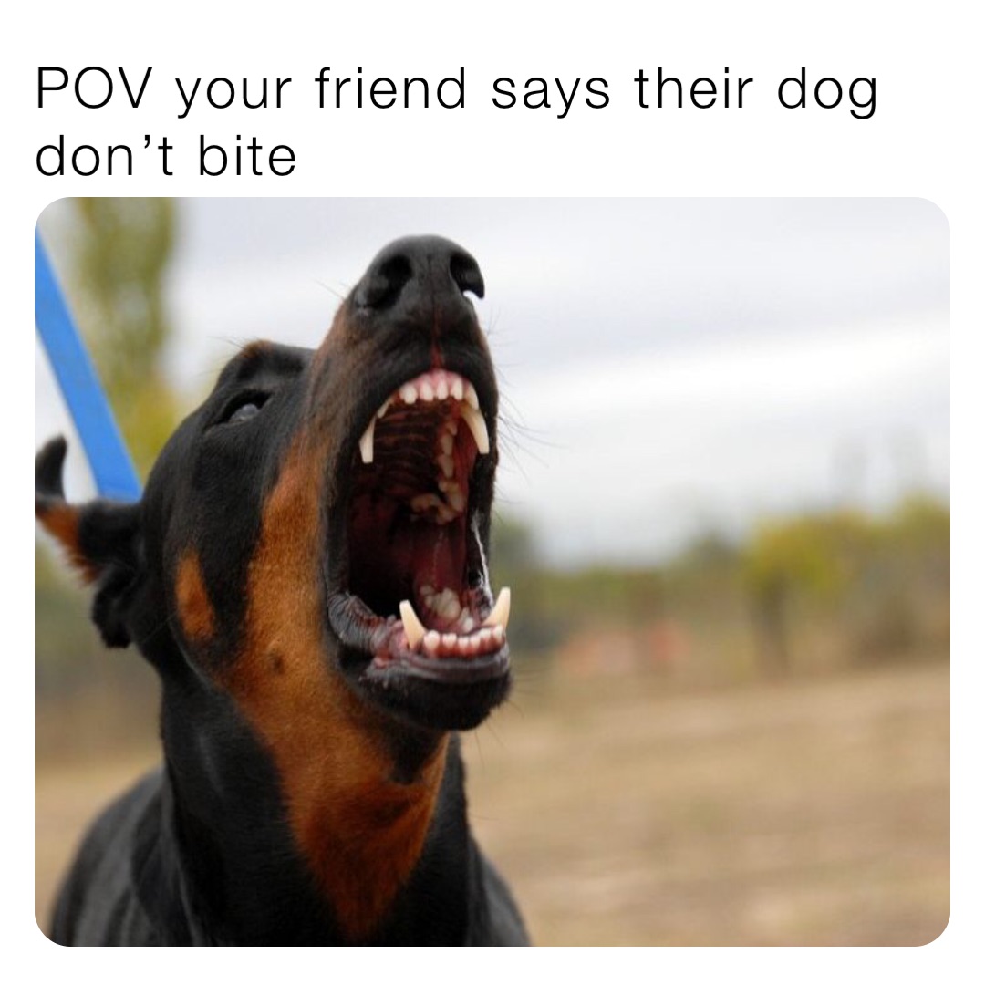 Meme by Scoopmakesmemes