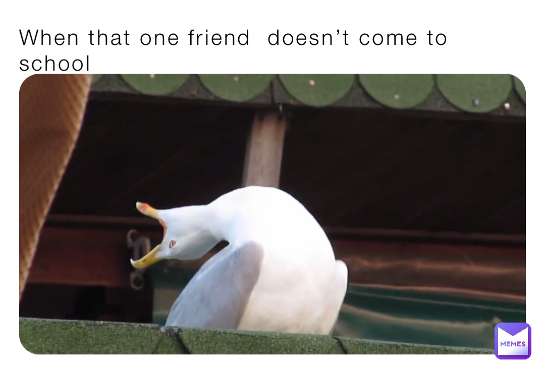 When that one friend  doesn’t come to school