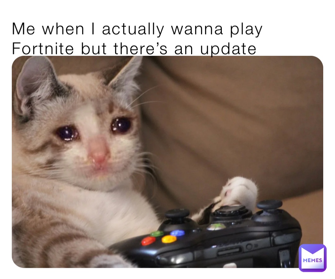 Me when I actually wanna play Fortnite but there’s an update