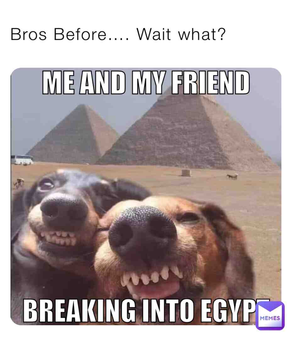 #meme #meme #meme #meme #meme #meme #meme #haha #haha #haha #haha #haha #haha #funny #funny #funny #funny #funny #dogs #dogs #dogs #dogs #dogs #dogs #dogs