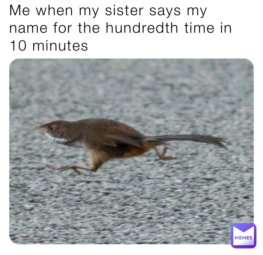 Meme by chipmunckkid