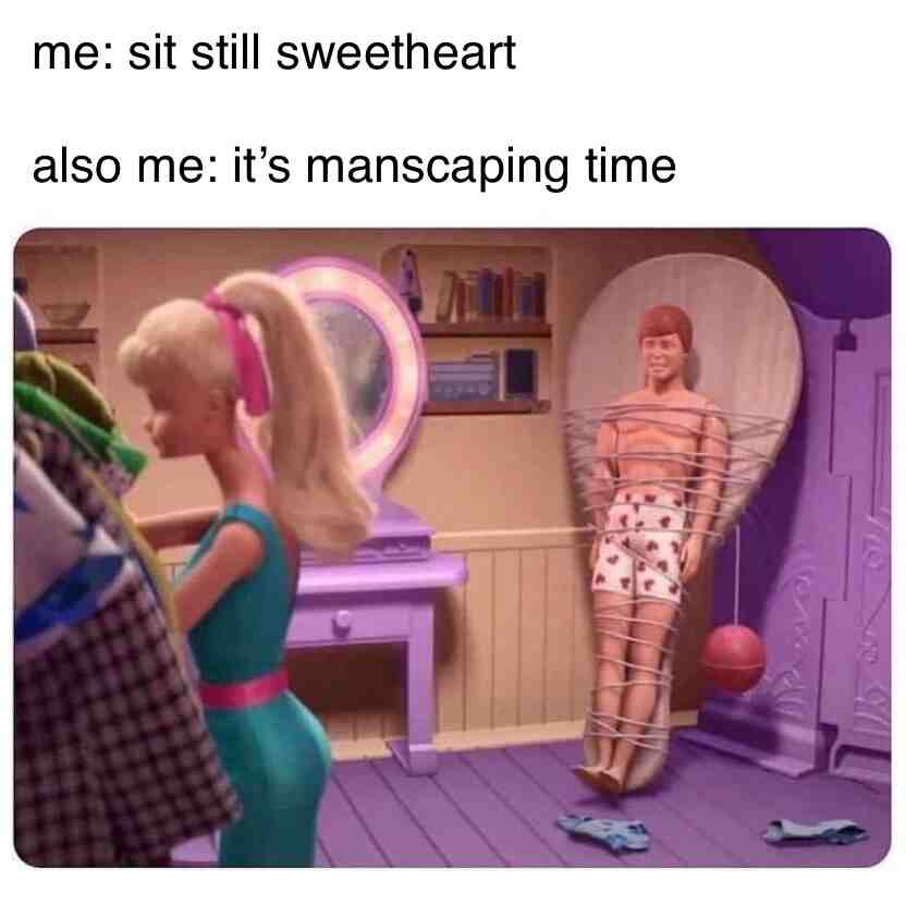 Dating a hairdresser be like that sometimes. #relatable #true #boyfriend #relationships #historymemes #history #servicedog #support #yourwelcome