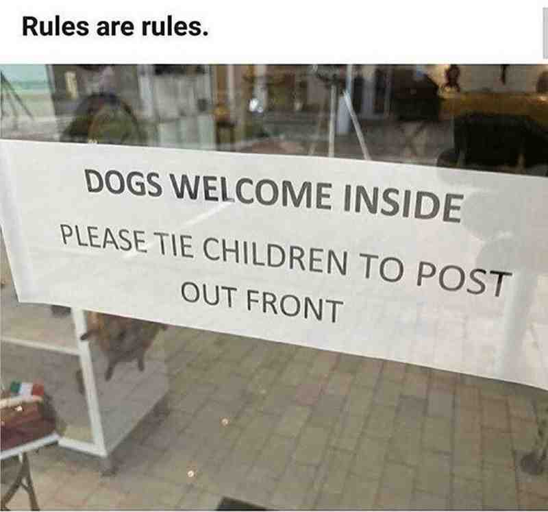 Makes sense. #dogmemes #randomcontent #dailymemes