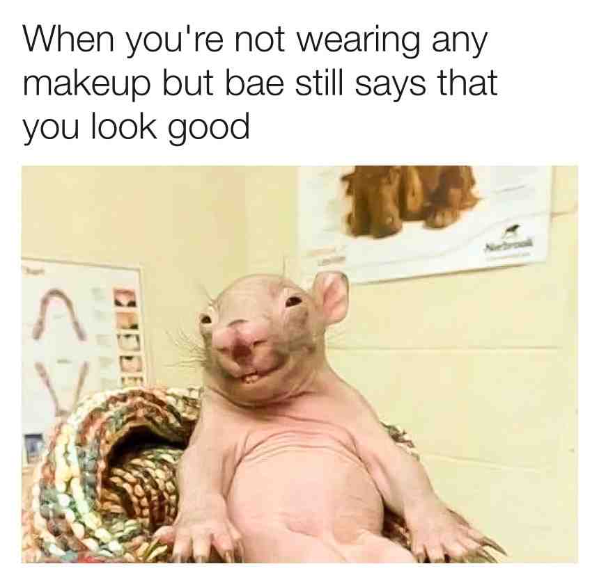 ☺️💖 #sarcasm #darkhumor #relatable #couplegoals #itbelikethatsometimes #lovememes #relationships #boyfriend #girlfriend #funny #awkward #lol #memestagram #memesdaily #antisocial #depression #daily #memes #spicymemes #funnymemes #dankmemes #savagememe #memelord #dankmemes