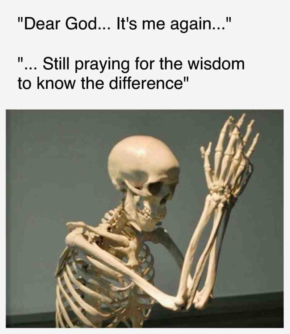 #thedailywandering #thedailymemes #lightworkers #energyworkers #mentalhealth #recoverymemes #soberasfuck #serenityprayer #progressnotperfection #relatablememes #life #dailymemes