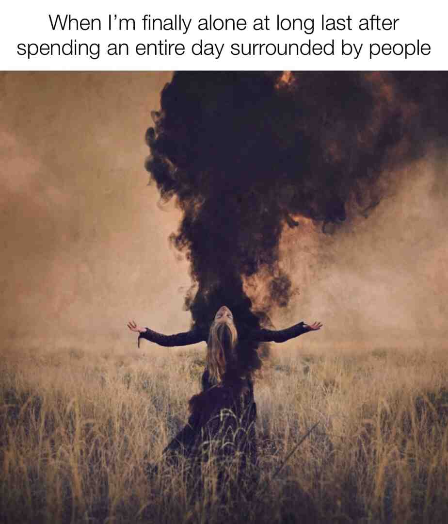 🐦⬛ #thedailywandering #thedailymemes #lightworkers #energyworkers #wanderlust #vibecheck #recentering #darkhumor #mentalhealth #socialdistancing #introvert #alienating #society #overload #vibecheck #recharging #truestory #savage #relatable #dailymemes