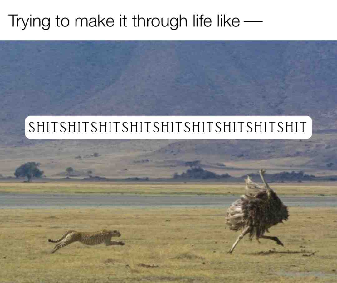 ninety//ninety//prolems #thedailywandering #thedailymemes #lightworkers #life #energyworkers #mentalhealth #strugglebus #recoverymemes #soberasfuck #truestory #savage #relatable #dailymemes #adulting #99problems