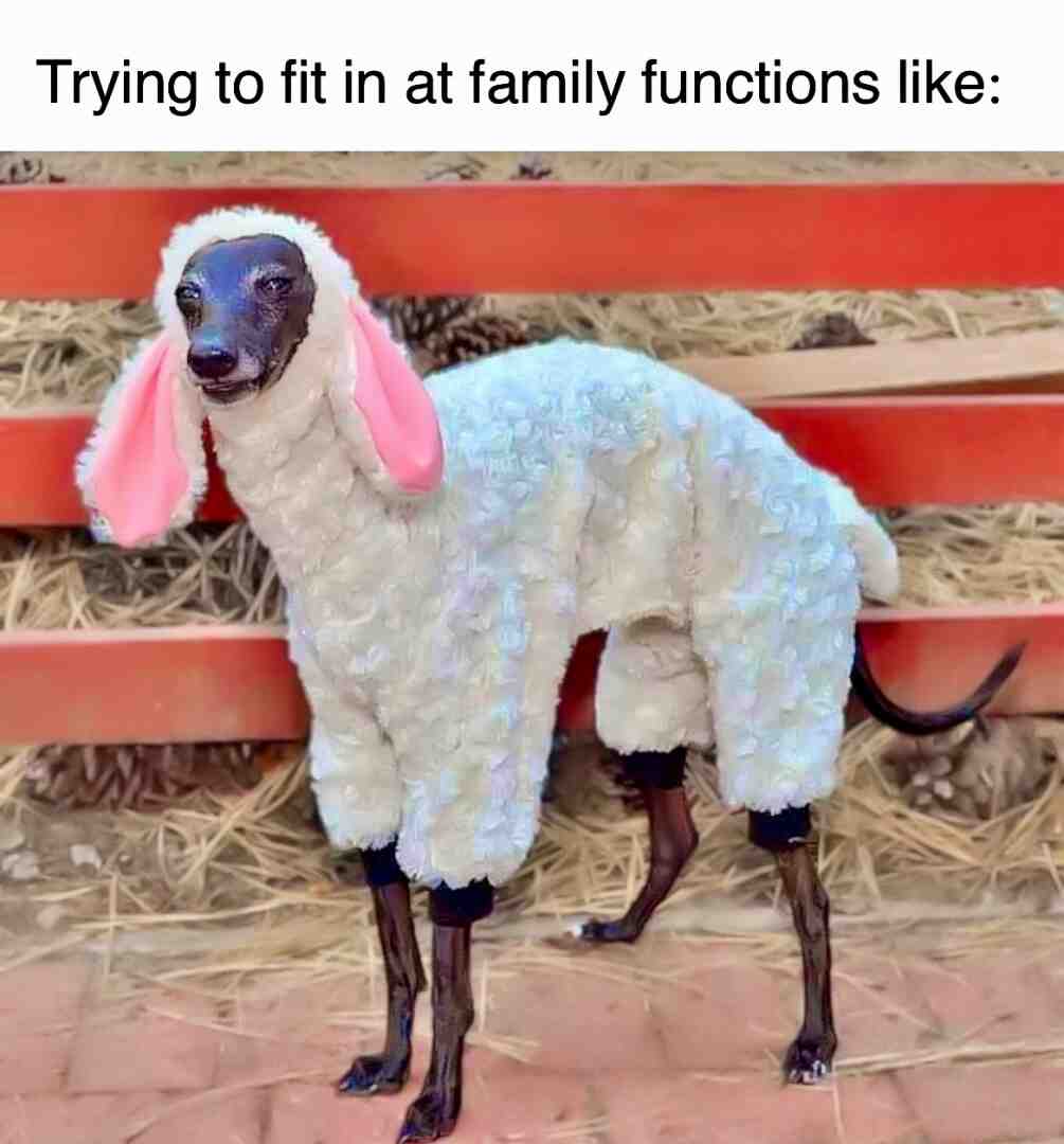 Happy Easter, Blacksheeps! //   #blacksheepsmatter  #thedailywanderings  #thedailymemes  #wanderlust  #starseeds  #empaths  #lonewolfandcub  #family  #holidays   #easter  #misfits  #vagabond