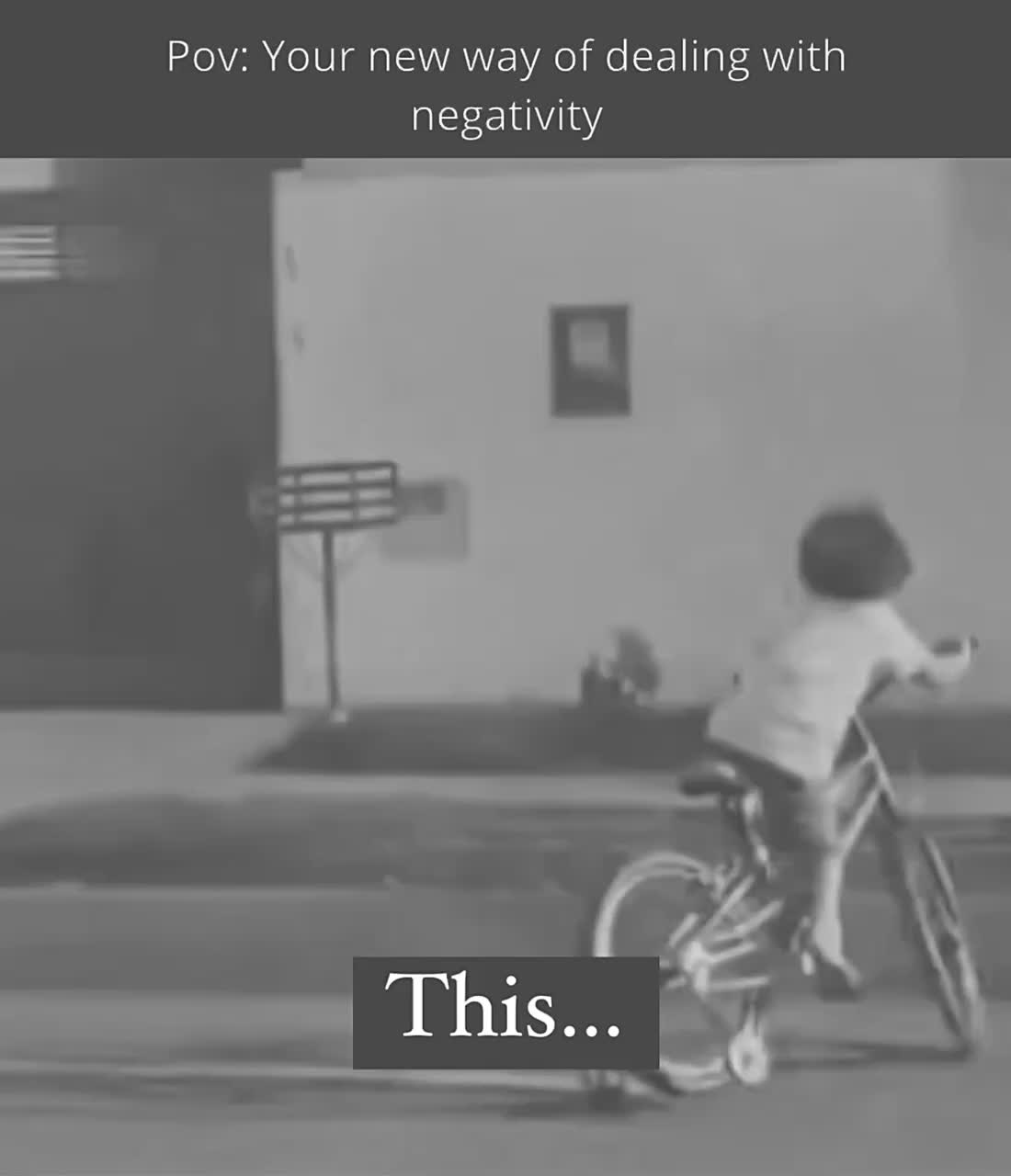 #thedailywanders   #vibratehigherdaily
