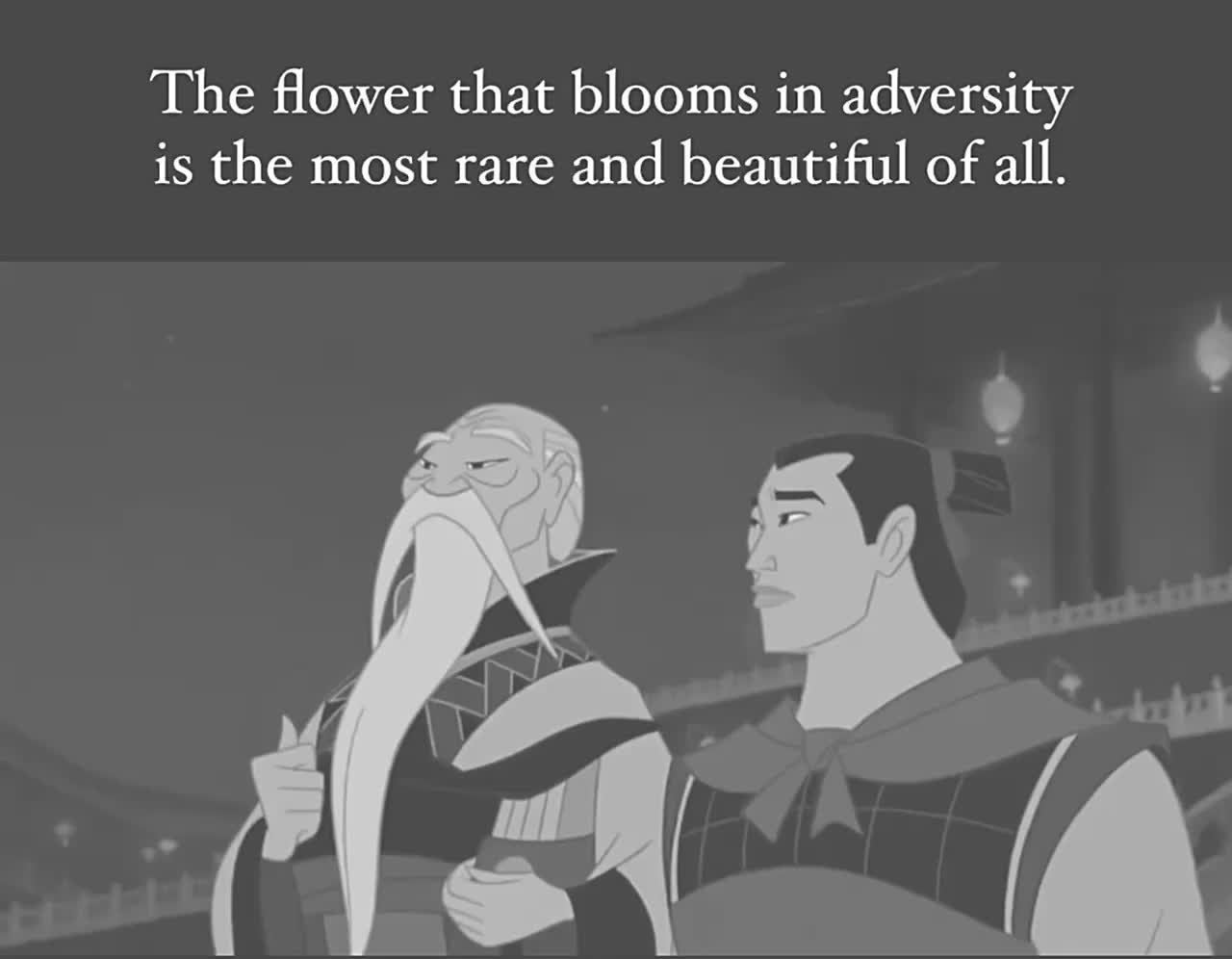#thedailywanders  #shadowwork  #bloomwithgrace